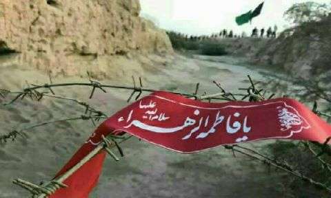 توسل به بزرگ بانوی دو عالم، رمز موفقیت عملیات ها